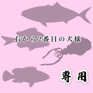 右から2番目の犬様専用　タイラバタングステンシンカー60g*2個80g*1個(ルアー用品)