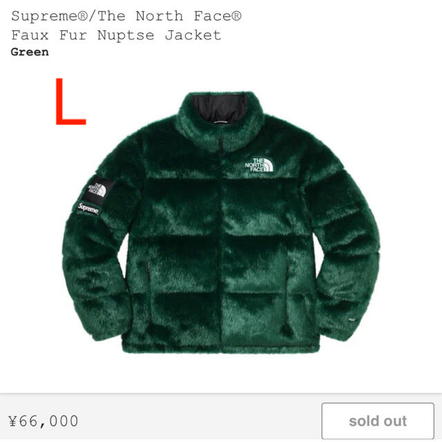 Supreme(シュプリーム)のSupreme The North Face Faux Fur Nupste メンズのジャケット/アウター(ダウンジャケット)の商品写真