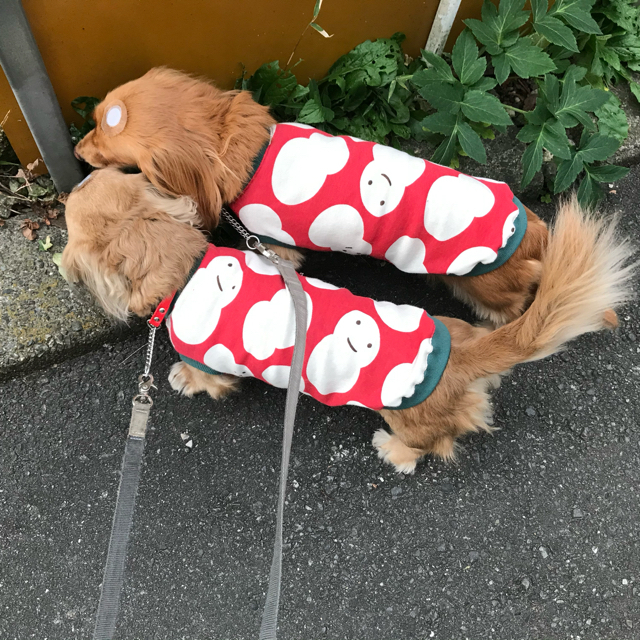 オーダー 雪だるま メルロコ ダックス 犬服の通販 By ミニチュアダックス メルロコ一家の横須賀ストーリー ラクマ オーダー 雪だるま メルロコ ダックス 犬服の通販 By ミニチュアダックス メルロコ一家の横須賀ストーリー ラクマ