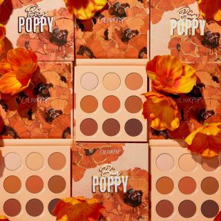 カラーポップ(colourpop)のカラーポップ 9色アイシャドウパレット big poppy(アイシャドウ)