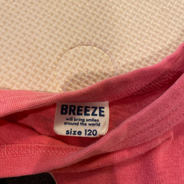 BREEZE(ブリーズ)のazu0403様　専用 キッズ/ベビー/マタニティのキッズ服女の子用(90cm~)(Tシャツ/カットソー)の商品写真