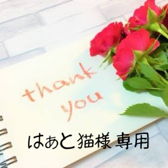 はぁと猫様 専用です www.termasbryant.com