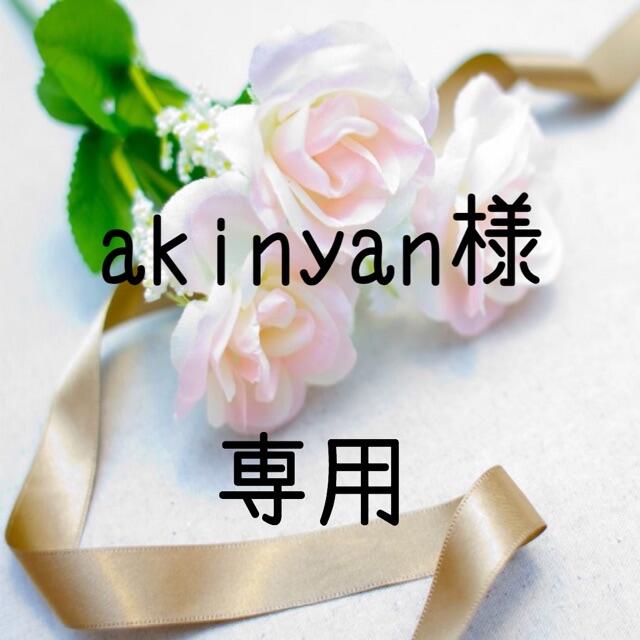 akinyan様専用  お米　令和2年　愛媛県産コシヒカリ　白米　30㎏