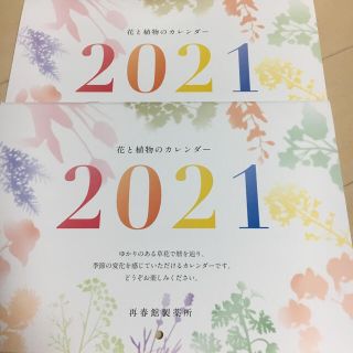 ドモホルンリンクル(ドモホルンリンクル)の再春館製薬所 ドモホルンリンクル  2021年カレンダー2冊(カレンダー/スケジュール)