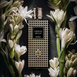 ジョーマローン(Jo Malone)のチュべルーズ アブソリュ｜チュベローズのアブソリュート(香水(女性用))