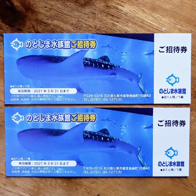 のとじま水族館招待券２名様分(有効期限2021年3月31日) チケットの施設利用券(水族館)の商品写真