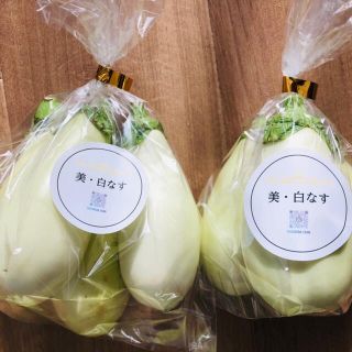 白なす  1〜1.5kg(野菜)