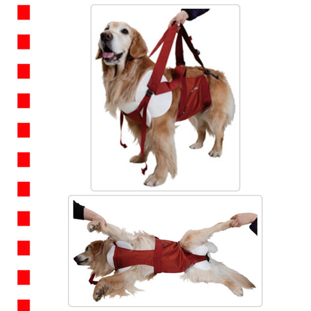 mont bell(モンベル)のmont-bell 大型犬　抱っこ紐 その他のペット用品(犬)の商品写真