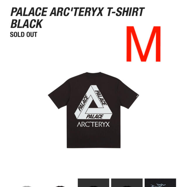 PALACE ARC'TERYX T-SHIRT