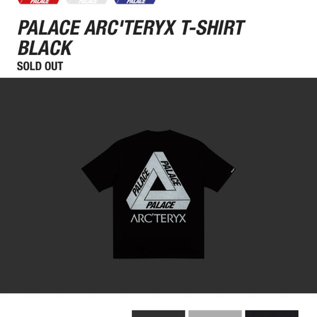 パレス ×アークテリクス ARCTERYX  ARC'TERYX T-Shirt バックロゴプリントTシャツ メンズ L