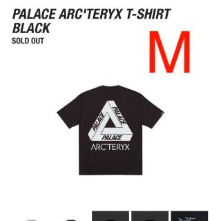 パレス ×アークテリクス ARCTERYX  ARC'TERYX T-Shirt バックロゴプリントTシャツ メンズ L