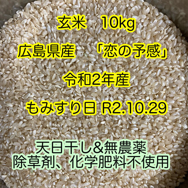 玄米　天日干し　無農薬　10kg　米/穀物