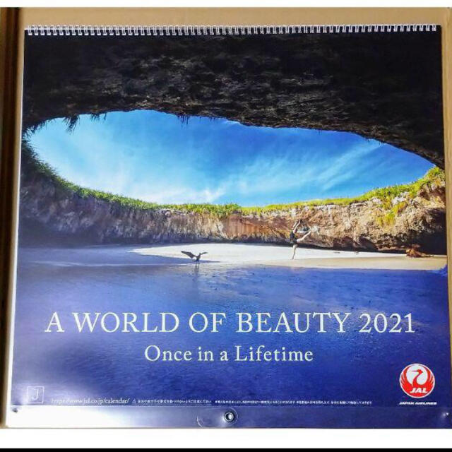 JAL(日本航空)(ジャル(ニホンコウクウ))のJAL カレンダー「A WORLD OF BEAUTY 2021」 インテリア/住まい/日用品の文房具(カレンダー/スケジュール)の商品写真