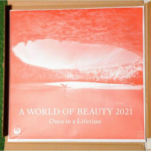JAL(日本航空)(ジャル(ニホンコウクウ))のJAL カレンダー「A WORLD OF BEAUTY 2021」 インテリア/住まい/日用品の文房具(カレンダー/スケジュール)の商品写真