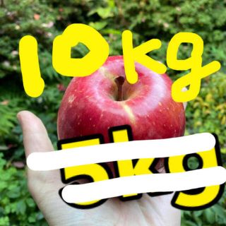 信州産　リンゴ　10kg (フルーツ)