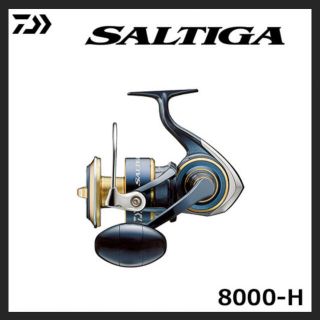 ダイワ(DAIWA)のダイワ  20ソルティガ8000-H  新品未使用(リール)