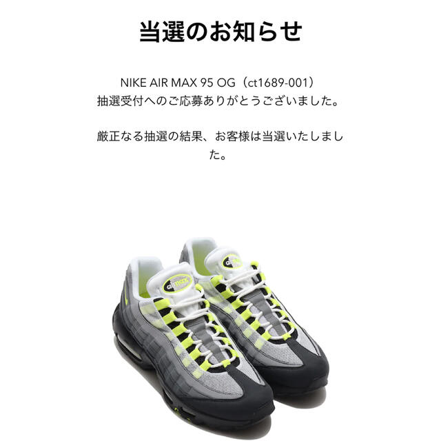 NIKE(ナイキ)のまー様専用NIKE airmax95  メンズの靴/シューズ(スニーカー)の商品写真