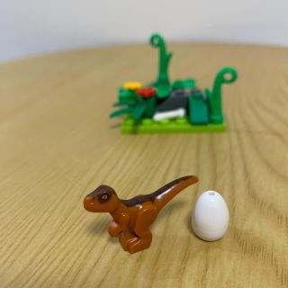 Lego デュプロ 動物 赤ちゃん ゾウ 子像 トラの通販 By いちご レゴならラクマ Lego デュプロ 動物 赤ちゃん ゾウ 子像 トラの通販 By いちご レゴならラクマ