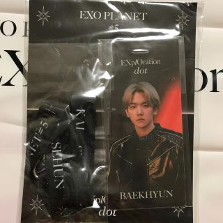 エクソ(EXO)の新品 EXOベッキョン ハードフォトセット(アイドルグッズ)