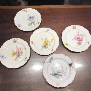 マイセン(MEISSEN)のKon様　専用　マイセン　自然主義(食器)