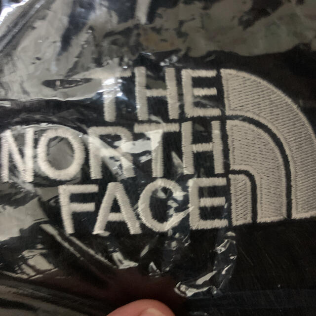 Supreme(シュプリーム)のsupreme NORTH FACE nuptse ヌプシ メンズのジャケット/アウター(ダウンジャケット)の商品写真