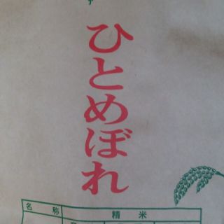 米  新米  令和2年ひとめぼれ10㎏(米/穀物)