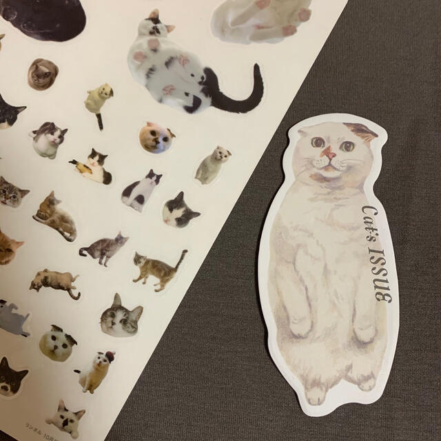 リンネル 付録　cat's ISSUE サコッシュ➕おまけのシール＆猫付箋 レディースのバッグ(ショルダーバッグ)の商品写真