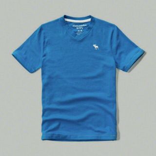 アバクロンビーアンドフィッチ(Abercrombie&Fitch)の【新品】アバクロ VネックTシャツ 青(Tシャツ/カットソー(半袖/袖なし))