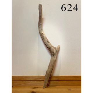 流木【624】(各種パーツ)