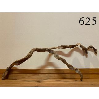 流木【625】(置物)