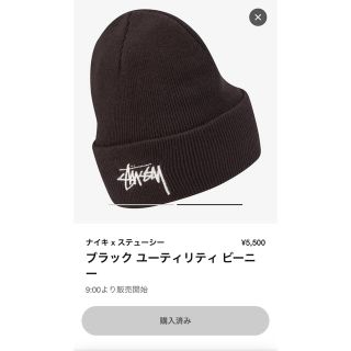 ステューシー(STUSSY)のStussy / Nike Cuff Beanie カフビーニー(ニット帽/ビーニー)