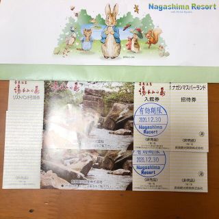 湯あみの島　入館券　2枚(遊園地/テーマパーク)