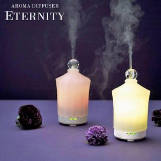 フランフラン(Francfranc)の姫様専用　FrancFranc アロマディフューザー ETERNITY(アロマディフューザー)