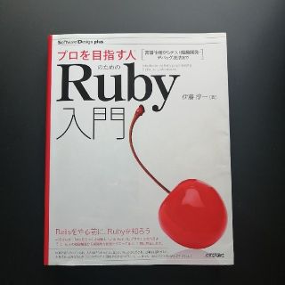 プロを目指す人のためのＲｕｂｙ入門 言語仕様からテスト駆動開発・デバッグ技法まで(コンピュータ/IT)