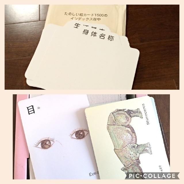 グリーン系 公式 家庭保育園 たのしい絵カード1500 フラッシュカード 幼児教育 知育玩具 おもちゃグリーン系 8 798 Cedarspreschool Com グリーン系 公式 家庭保育園 たのしい絵カード1500 フラッシュカード 幼児教育 知育玩具 おもちゃグリーン系 8 798 Cedarspreschool Com