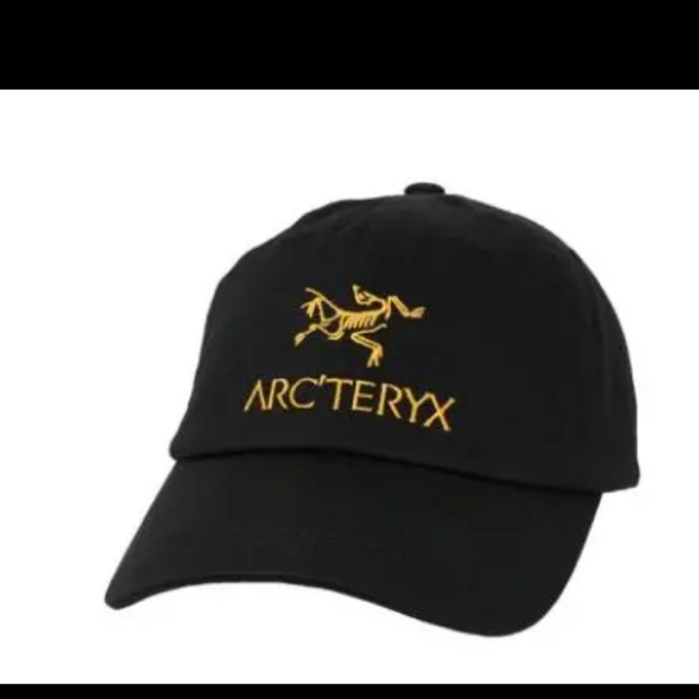 ARC'TERYX - 最安値 アークテリクス パレス コラボ キャップの ARC'TERYX - 最安値 アークテリクス パレス コラボ キャップの