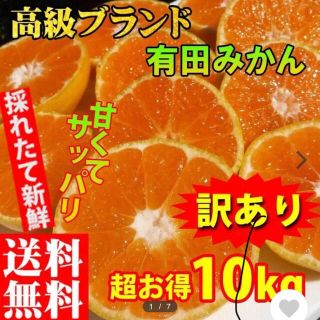 有田みかん　レビュー高評価❗️(フルーツ)