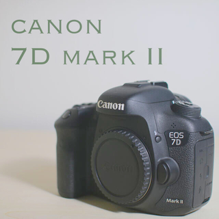 Canon - canon 7d mark 2 ボディシャッター25600回程度の通販 by ...