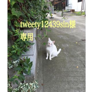 ボウダンショウネンダン(防弾少年団(BTS))の【tweety12439sin様専用】ポストカード(K-POP/アジア)