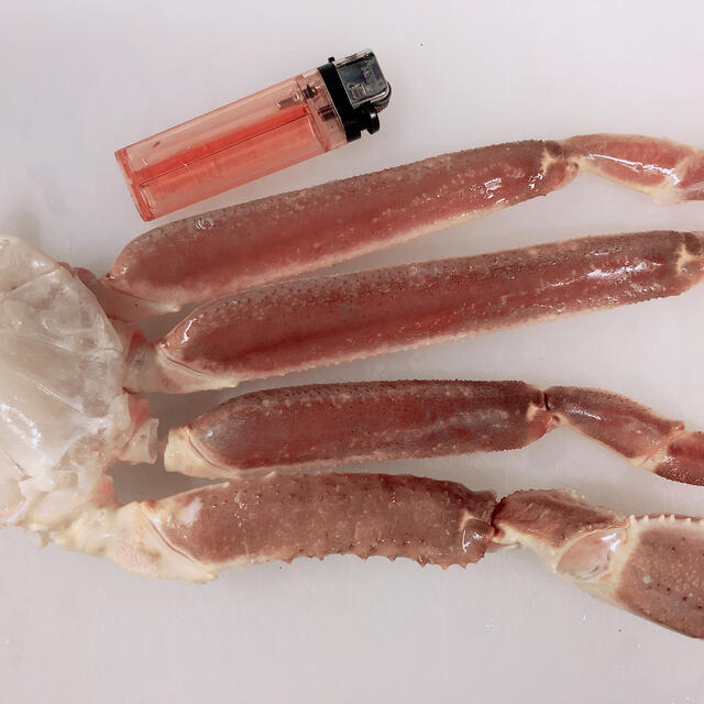 ずわい蟹　冷凍生ずわい蟹　2キロ箱　魚介
