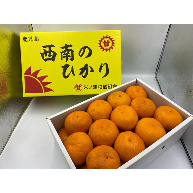 にゃぁ❗️鹿児島県産　西南のひかり　L-3L 化粧箱　天みかん　M 5kg