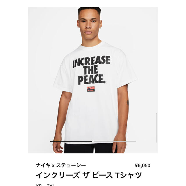 STUSSY(ステューシー)のインクリースザピース Tシャツ Lサイズ メンズのトップス(Tシャツ/カットソー(半袖/袖なし))の商品写真