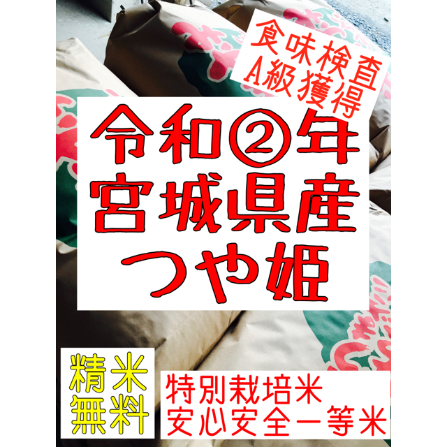 令和2年宮城県産つや姫10キロ　農家直送　米/穀物