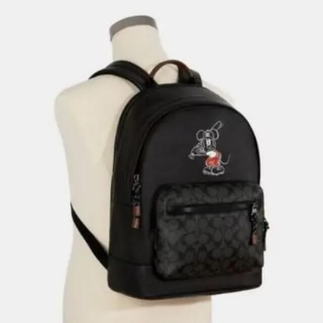 Coach 日本限定ディズニーコラボリュックの通販 By テツマキ S Shop コーチならラクマ Coach 日本限定ディズニーコラボリュックの通販 By テツマキ S Shop コーチならラクマ