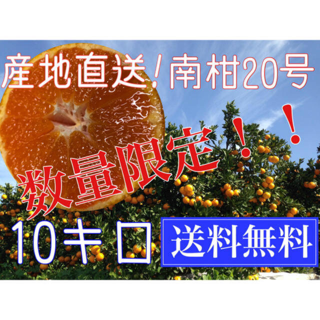 yuri様専用 南柑20号 10キロ２つ フルーツ