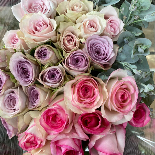 バラ ユーカリ おまかせミックス 40本 40 切り花 生花 産地直送 の通販 By Rose Net S Shop ラクマ バラ ユーカリ おまかせミックス 40本 40 切り花 生花 産地直送 の通販 By Rose Net S Shop ラクマ