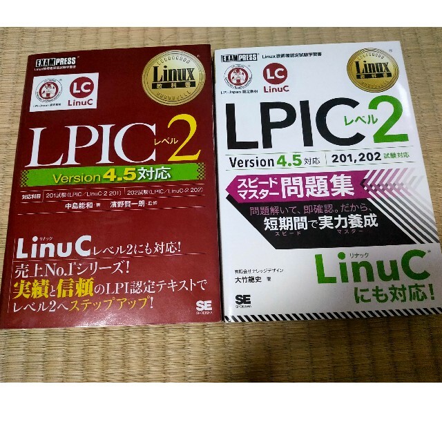 ＬＰＩＣレベル２