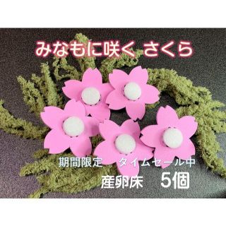 メダカ ・金魚の産卵床 さくら桃色５個セットめだか育成 タイムセール中(アクアリウム)