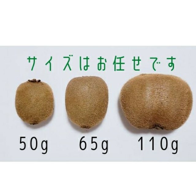 キウイフルーツ　キウイ　by　送料無料　まぐ｜ラクマ　ヘイワード　3kgの通販