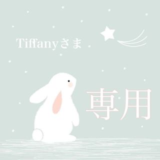 ダズリン(dazzlin)のTiffanyさま専用𓂃𓈒𓏸𓐍(ニット/セーター)